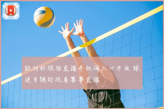 欧洲杯现场直播手机端入口开放 球迷可随时观看赛事直播