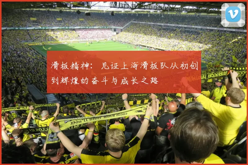 滑板精神:见证上海滑板队从初创到辉煌的奋斗与成长之路