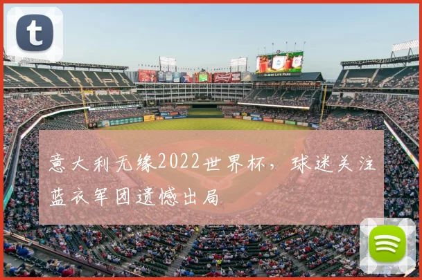 意大利无缘2022世界杯,球迷关注蓝衣军团遗憾出局