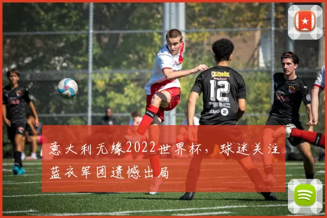 意大利无缘2022世界杯,球迷关注蓝衣军团遗憾出局