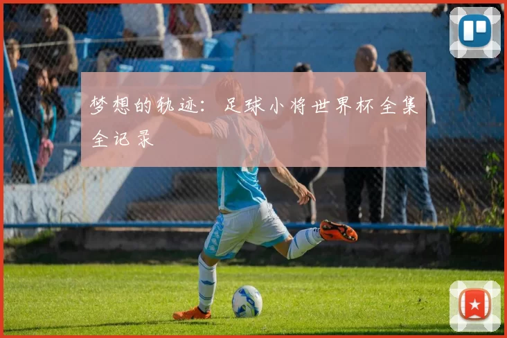 梦想的轨迹：足球小将世界杯全集全记录