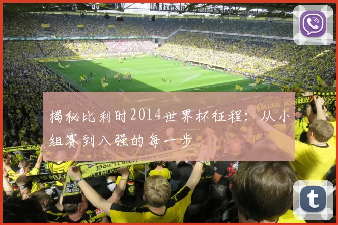 揭秘比利时2014世界杯征程：从小组赛到八强的每一步