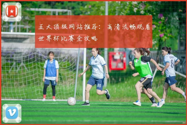 五大顶级网站推荐:高清流畅观看世界杯比赛全攻略
