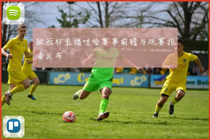 欧冠杯直播哇哈赛事前瞻与观赛指南发布