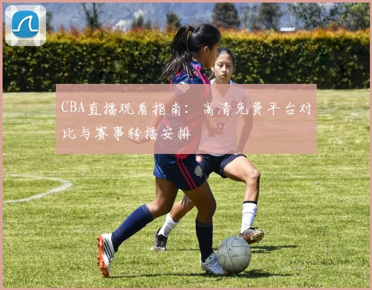 CBA直播观看指南:高清免费平台对比与赛事转播安排