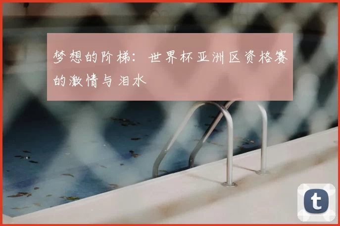 梦想的阶梯：世界杯亚洲区资格赛的激情与泪水