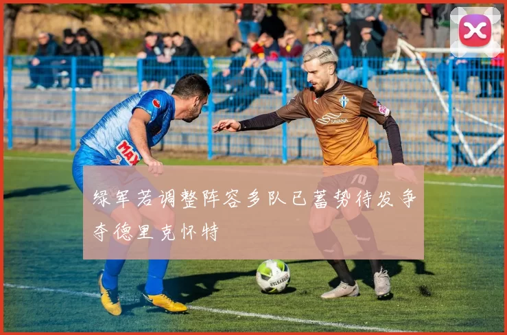 绿军若调整阵容多队已蓄势待发争夺德里克怀特