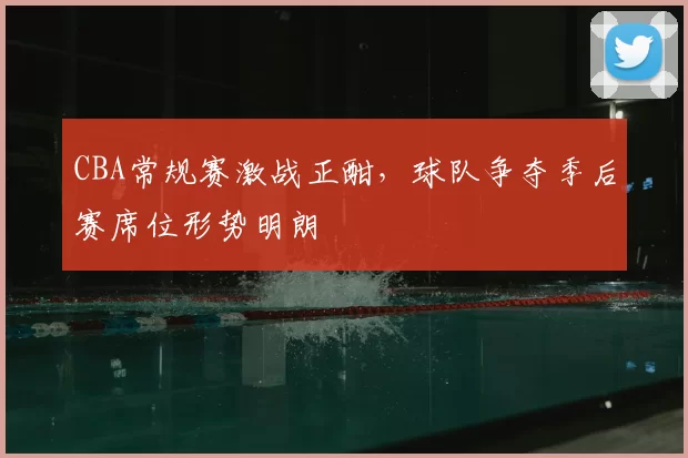 CBA常规赛激战正酣，球队争夺季后赛席位形势明朗