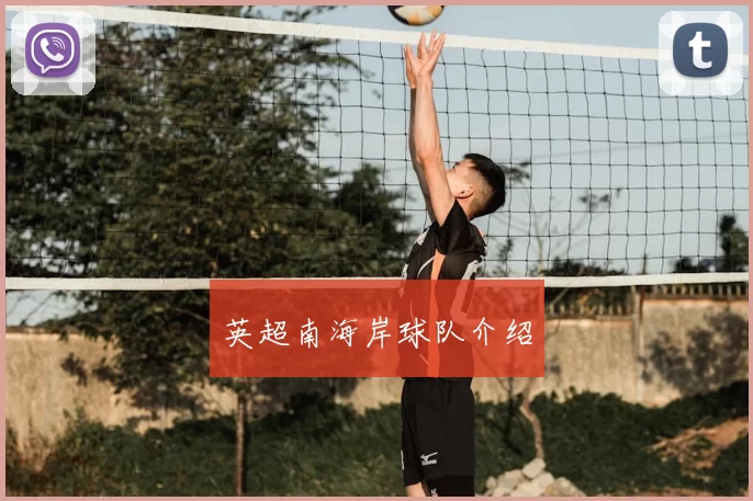 英超南海岸球队介绍