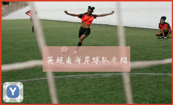 英超南海岸球队介绍